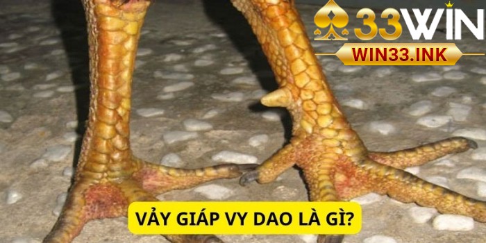 Vảy Giáp Vy Đao Là Gì?